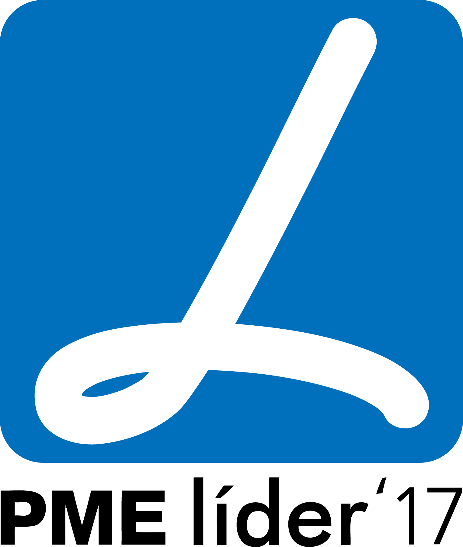 Castro&Alves,Lda PME Lider 2017